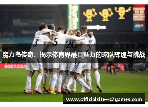 魔力鸟传奇：揭示体育界最具魅力的球队辉煌与挑战